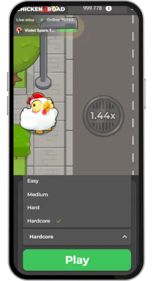 Setting bet and difficulty level in Chicken Road 2